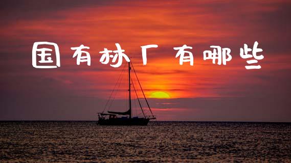 国有林厂有哪些_https://wap.lcpcjs.com_股港行情_第1张
