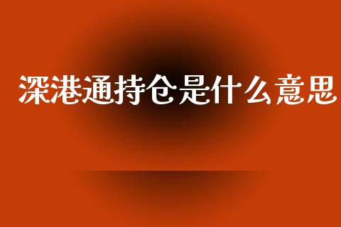 深港通持仓是什么意思_https://wap.lcpcjs.com_全球经济_第1张