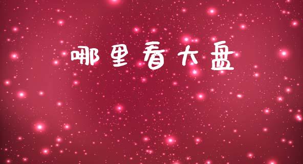 哪里看大盘_https://wap.lcpcjs.com_美股行情_第1张