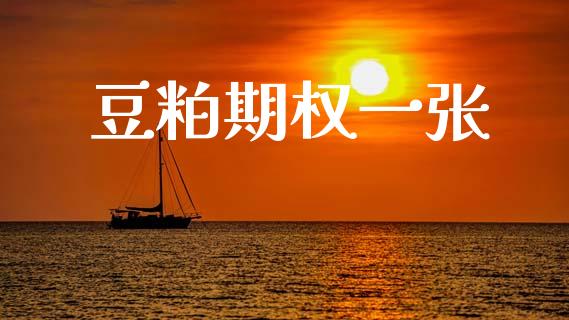 豆粕期权一张_https://wap.lcpcjs.com_全球经济_第1张