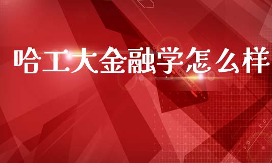 哈工大金融学怎么样_https://wap.lcpcjs.com_股港行情_第1张