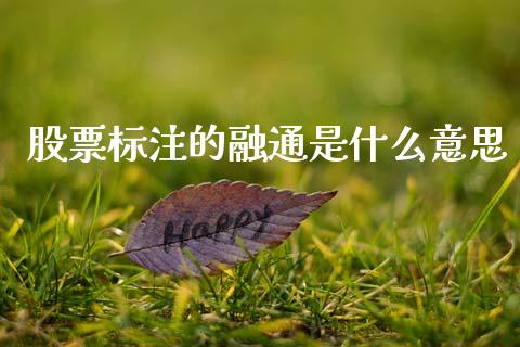 股票标注的融通是什么意思_https://wap.lcpcjs.com_外汇市场_第1张
