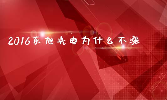 2016东旭光电为什么不涨_https://wap.lcpcjs.com_全球经济_第1张