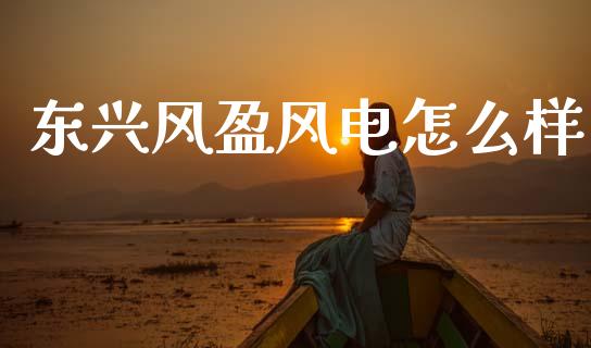 东兴风盈风电怎么样_https://wap.lcpcjs.com_全球经济_第1张