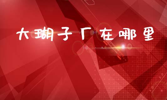 大瑚子厂在哪里_https://wap.lcpcjs.com_外汇市场_第1张
