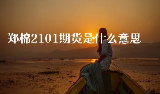 郑棉2101期货是什么意思_股港行情_第1张_全球经济_美股行情_外汇市场_股港行情 郑棉2101期货是什么意思_https://wap.lcpcjs.com_股港行情_第1张