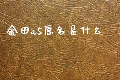 金田a5原名是什么_https://wap.lcpcjs.com_美股行情_第1张