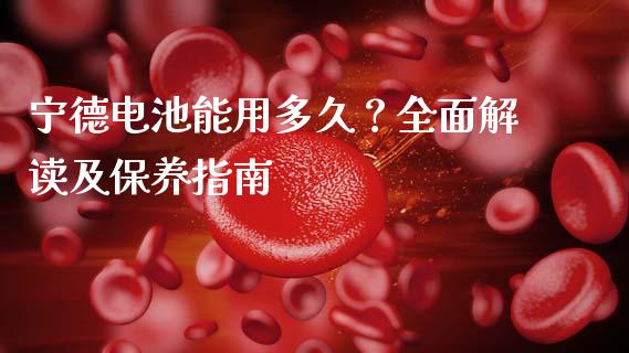 宁德电池能用多久？全面解读及保养指南_https://wap.lcpcjs.com_全球经济_第1张