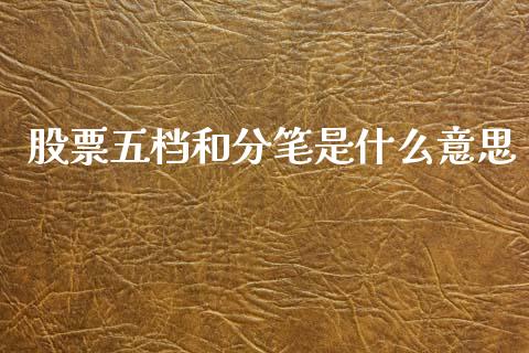 股票五档和分笔是什么意思_https://wap.lcpcjs.com_外汇市场_第1张