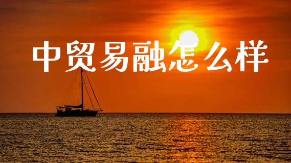 中贸易融怎么样_https://wap.lcpcjs.com_美股行情_第1张