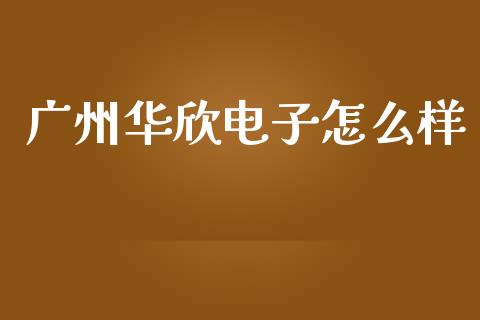 广州华欣电子怎么样_https://wap.lcpcjs.com_外汇市场_第1张