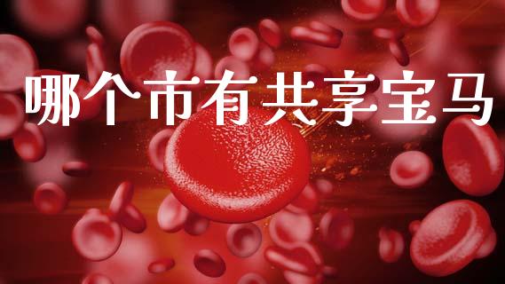 哪个市有共享宝马_https://wap.lcpcjs.com_美股行情_第1张