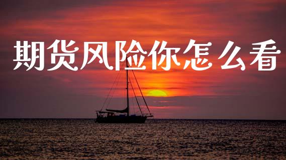 期货风险你怎么看_https://wap.lcpcjs.com_股港行情_第1张