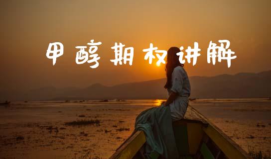 甲醇期权讲解_https://wap.lcpcjs.com_全球经济_第1张