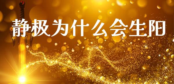 静极为什么会生阳_https://wap.lcpcjs.com_全球经济_第1张