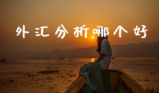 外汇分析哪个好_https://wap.lcpcjs.com_全球经济_第1张