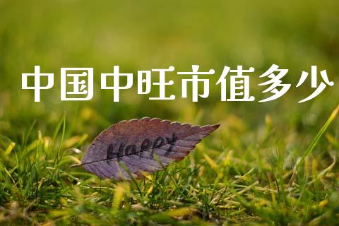 中国中旺市值多少_https://wap.lcpcjs.com_全球经济_第1张