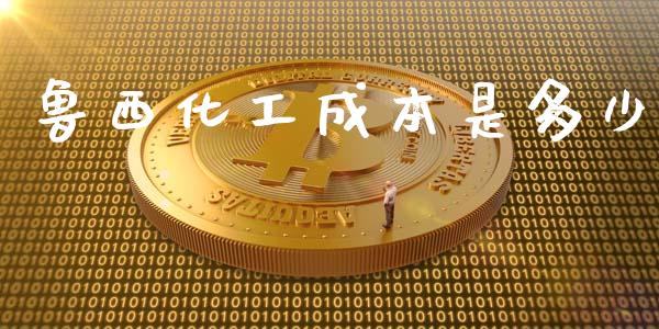 鲁西化工成本是多少_https://wap.lcpcjs.com_外汇市场_第1张