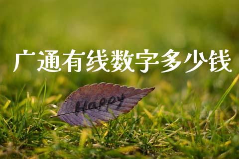 广通有线数字多少钱_https://wap.lcpcjs.com_美股行情_第1张