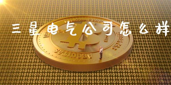 三星电气公司怎么样_https://wap.lcpcjs.com_全球经济_第1张