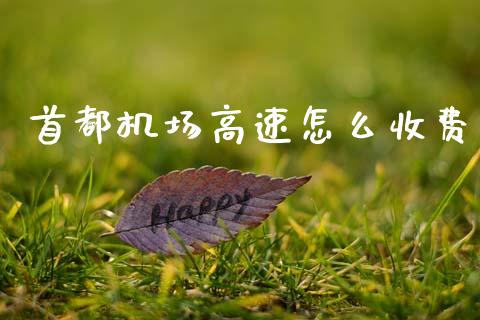 首都机场高速怎么收费_https://wap.lcpcjs.com_全球经济_第1张
