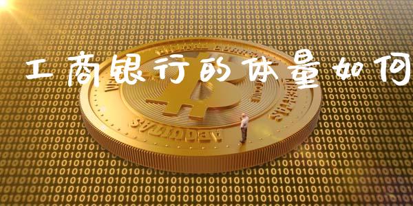 工商银行的体量如何_https://wap.lcpcjs.com_股港行情_第1张