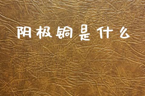 阴极铜是什么_https://wap.lcpcjs.com_外汇市场_第1张