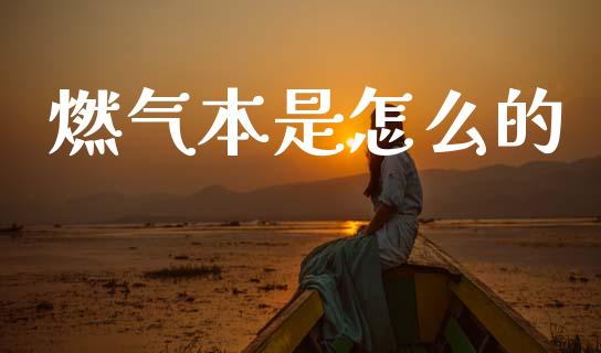 燃气本是怎么的_https://wap.lcpcjs.com_美股行情_第1张