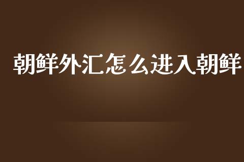 朝鲜外汇怎么进入朝鲜_https://wap.lcpcjs.com_全球经济_第1张