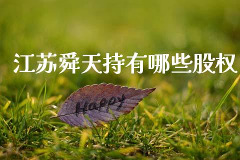 江苏舜天持有哪些股权_股港行情_第1张_全球经济_美股行情_外汇市场_股港行情 江苏舜天持有哪些股权_https://wap.lcpcjs.com_股港行情_第1张