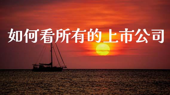 如何看所有的上市公司_https://wap.lcpcjs.com_全球经济_第1张