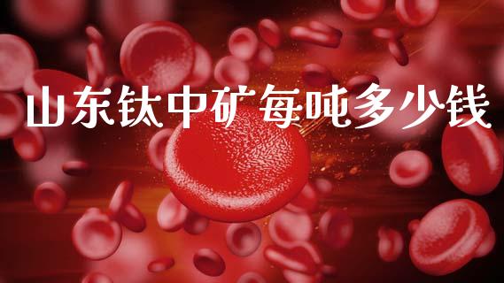 山东钛中矿每吨多少钱_https://wap.lcpcjs.com_外汇市场_第1张