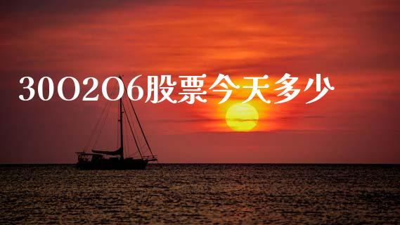 30O2O6股票今天多少_https://wap.lcpcjs.com_全球经济_第1张