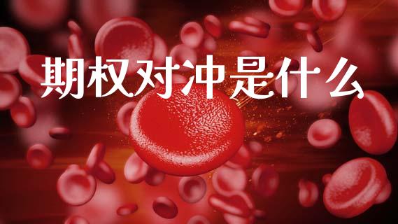 期权对冲是什么_https://wap.lcpcjs.com_美股行情_第1张
