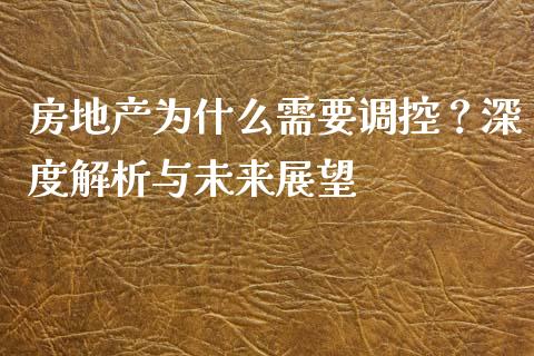 房地产为什么需要调控？深度解析与未来展望_https://wap.lcpcjs.com_外汇市场_第1张