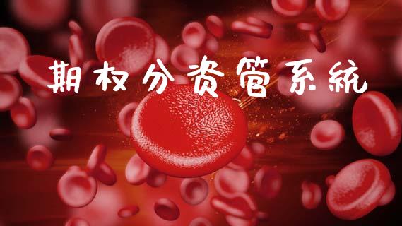 期权分资管系统_https://wap.lcpcjs.com_全球经济_第1张