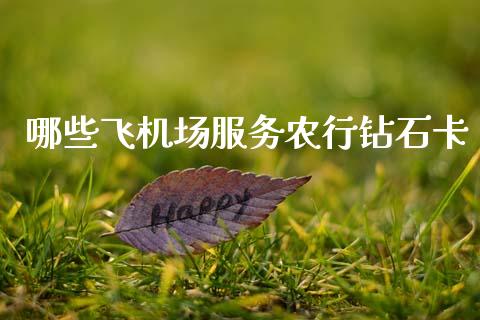 哪些飞机场服务农行钻石卡_https://wap.lcpcjs.com_全球经济_第1张