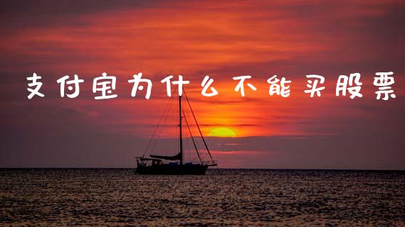 支付宝为什么不能买股票_https://wap.lcpcjs.com_全球经济_第1张