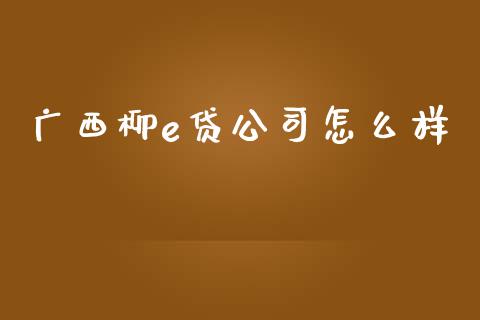 广西柳e贷公司怎么样_https://wap.lcpcjs.com_美股行情_第1张