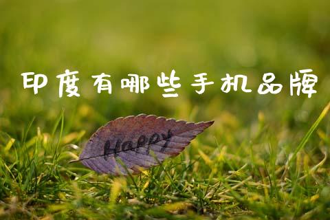 印度有哪些手机品牌_https://wap.lcpcjs.com_股港行情_第1张
