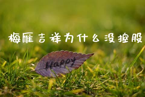 梅雁吉祥为什么没控股_https://wap.lcpcjs.com_股港行情_第1张