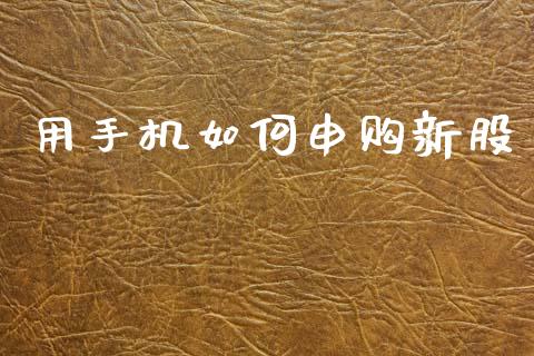 用手机如何申购新股_https://wap.lcpcjs.com_股港行情_第1张