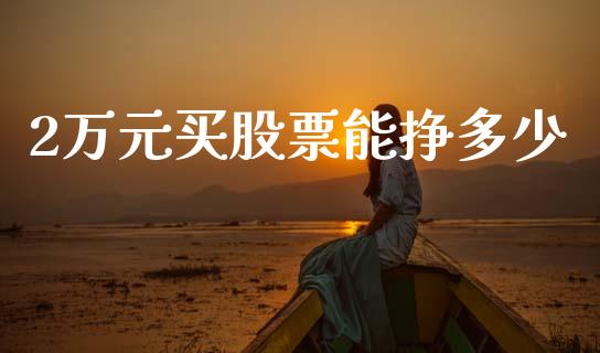2万元买股票能挣多少_https://wap.lcpcjs.com_外汇市场_第1张
