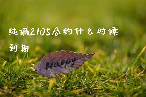 纯碱2105合约什么时候到期_https://wap.lcpcjs.com_全球经济_第1张