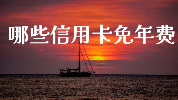 哪些信用卡免年费_https://wap.lcpcjs.com_美股行情_第1张