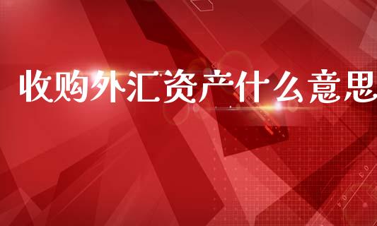 收购外汇资产什么意思_https://wap.lcpcjs.com_美股行情_第1张
