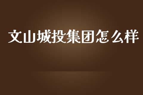 文山城投集团怎么样_https://wap.lcpcjs.com_外汇市场_第1张