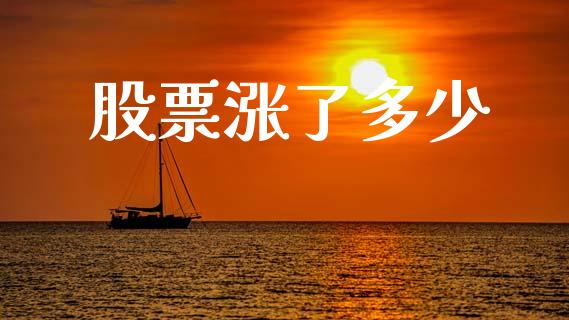 股票涨了多少_https://wap.lcpcjs.com_美股行情_第1张