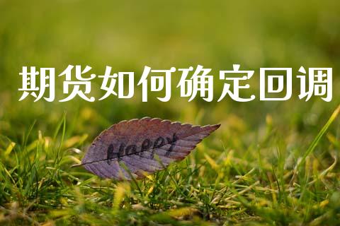 期货如何确定回调_https://wap.lcpcjs.com_股港行情_第1张