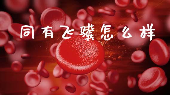 同有飞骥怎么样_https://wap.lcpcjs.com_全球经济_第1张